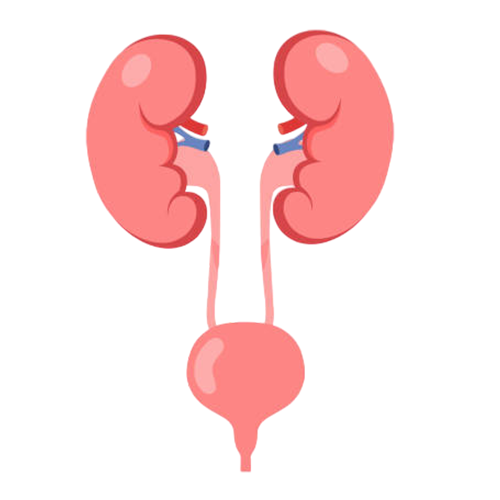 best genitourinary-surgeries