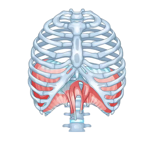 best thoracic-surgen in hyderabad