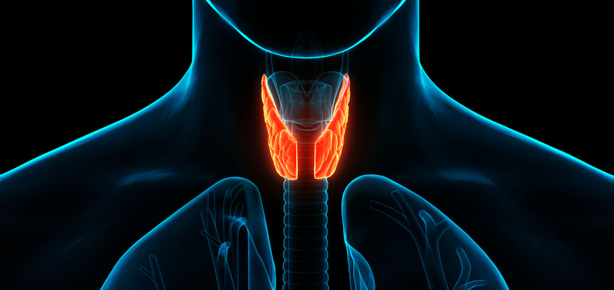 best thyroid-and-parathyroid-surgeries in hyderabad